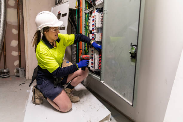 Best Electrician for Home Renovation  in Mount Pulaski, IL