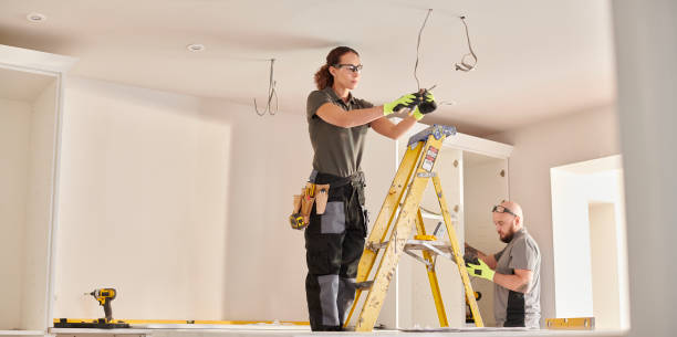 Best Electric Panel Repair  in Mount Pulaski, IL