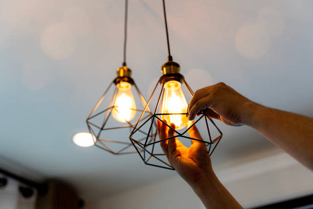 Best Electrical System Inspection  in Mount Pulaski, IL