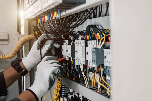 Best Ceiling Fan Installation Electrician  in Mount Pulaski, IL